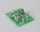 102220 Groen Fuse Board Assembly