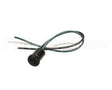 1033 Crown Tonka Plug Female 10