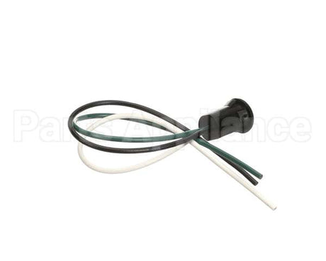 1033 Crown Tonka Plug Female 10