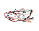 104189 Cleveland Harness, Wire, Conv Steamer; Ncc Timer