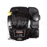 104M02-0197-F1 Briggs & Stratton Engine Packed Single Carton