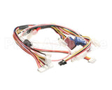 105000035 Rinnai Sensor Harness/ R94-Lsi