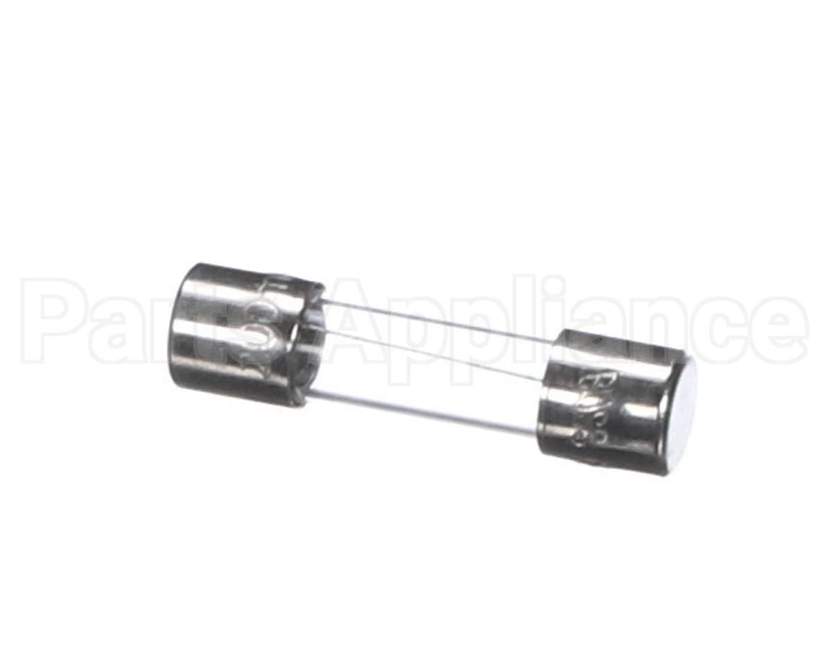 1060860 Prince Castle Fuse 2A 250V (Ea)