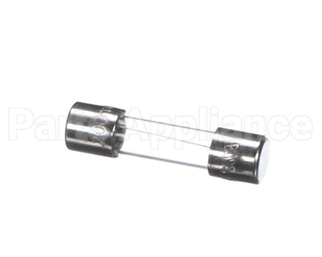 1060860 Prince Castle Fuse 2A 250V (Ea)