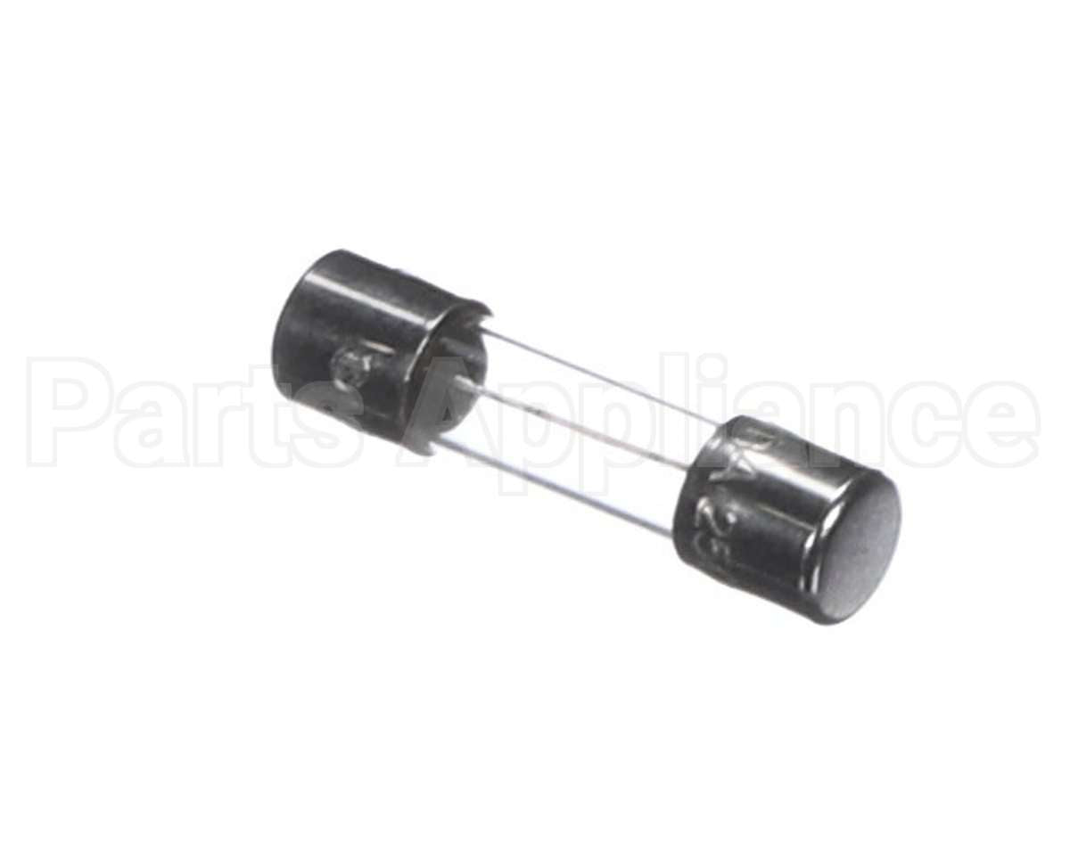1060860 Prince Castle Fuse 2A 250V (Ea)