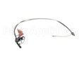 1061238SP Frymaster Pilot Assembly, Nat Ei W/O Control