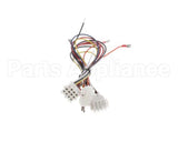 1063984 Frymaster Harness Assembly,208/240V Cmpntbox