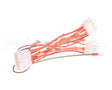 1065751SP Frymaster Harness Assembly, Re Dv Controls