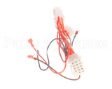 1065751SP Frymaster Harness Assembly, Re Dv Controls