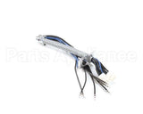 1066036SP Frymaster Harness Assembly, Re Rh Element