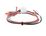 1067668 Frymaster Harness, Xfrm/Filter #2 Scf