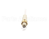 1070-7 Montague Sensor Probe Flame
