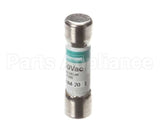 107384 Champion - Moyer Diebel Fuse Trm-20A 250V Time Delay