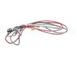 1080656 Frymaster Ais Rtd Probe And Harness Pos1