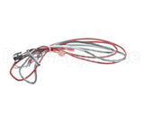 1080656 Frymaster Ais Rtd Probe And Harness Pos1