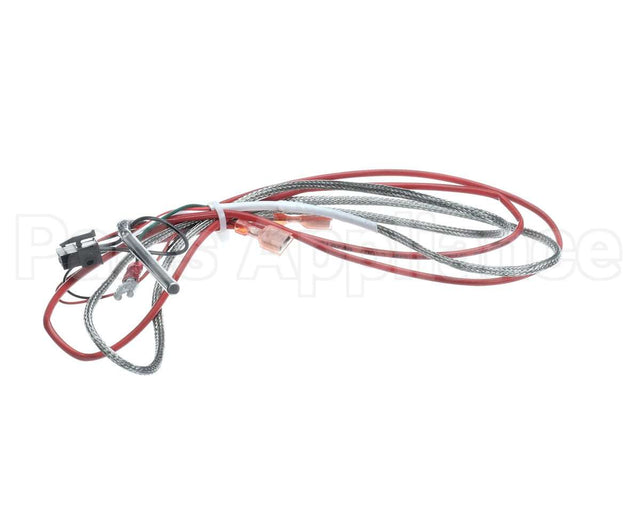 1080656 Frymaster Ais Rtd Probe And Harness Pos1