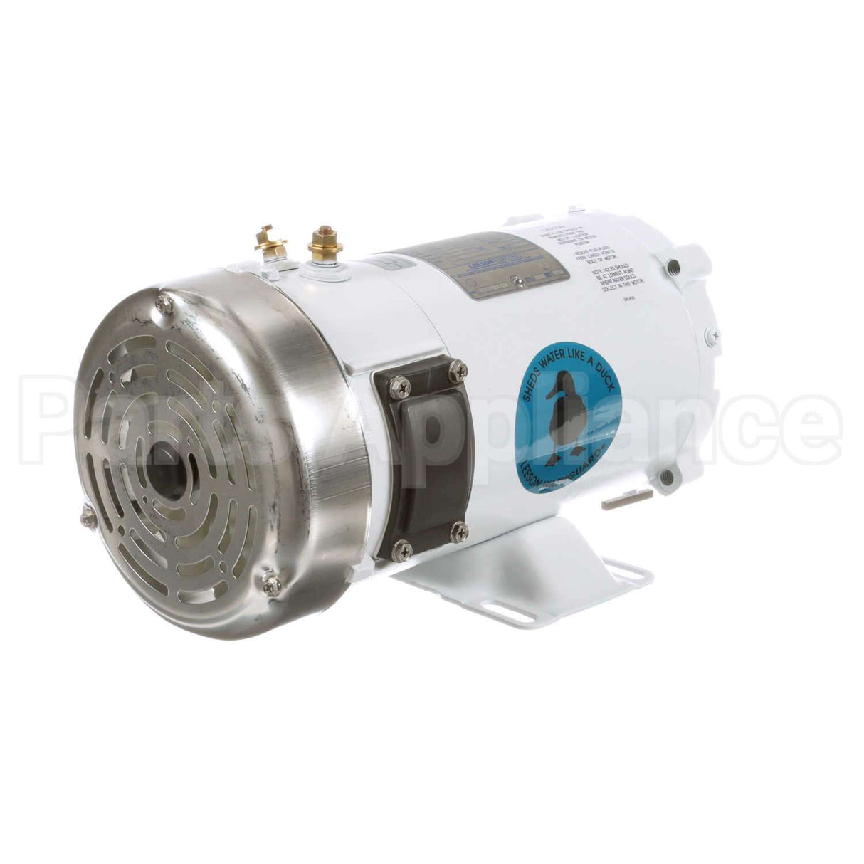 109300 Leeson Motor