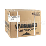 10V332-0004-F1 Briggs & Stratton Eng10V332Fej0001