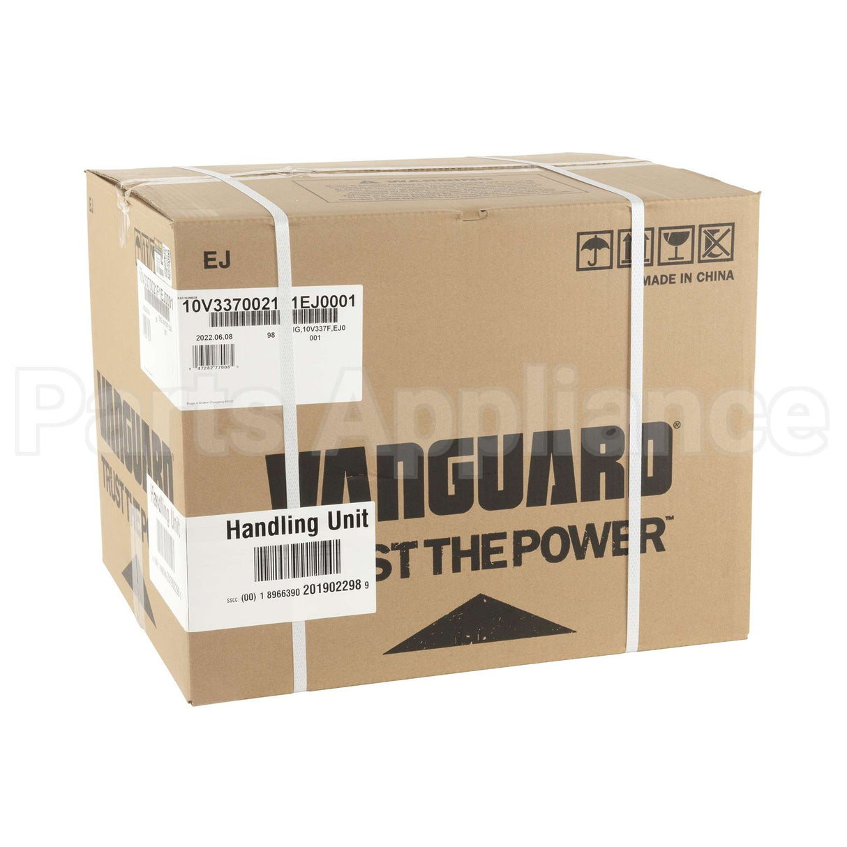 10V337-0021-F1 Briggs & Stratton Eng10V337Fej0001