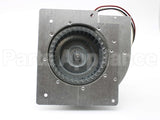 10W59 Lennox 208-230V Inducer Motor