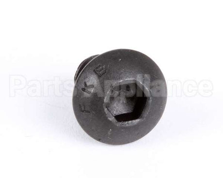 1107 Globe Roller Retaining Screw