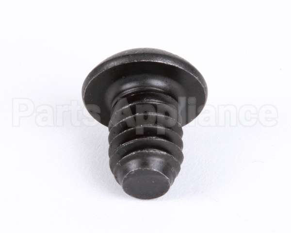 1107 Globe Roller Retaining Screw