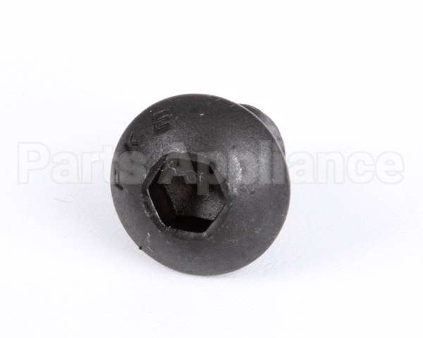 1107 Globe Roller Retaining Screw