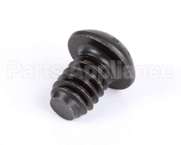 1107 Globe Roller Retaining Screw