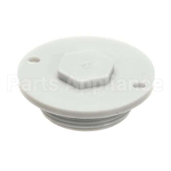 110755 Compatible Champion Drainplug, Ng