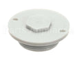 110755 Champion - Moyer Diebel Drain Plug,Ng