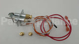 110853 Reznor Pilot Assy, Spark Ign, Nat Gas
