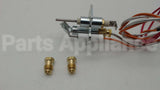 110853 Reznor Pilot Assy, Spark Ign, Nat Gas