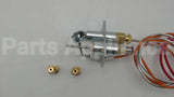 110853 Reznor Pilot Assy, Spark Ign, Nat Gas