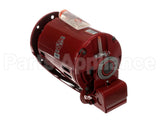 111049 Xylem-Bell & Gossett 3/4 Hp Motor,208/230/460V 3-Ph