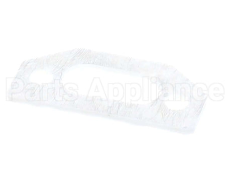 111791 Pvi Ignitor Gasket