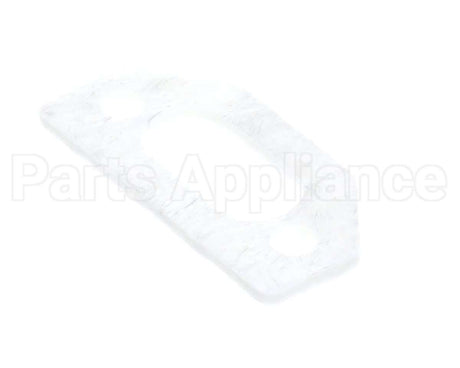 111791 Pvi Ignitor Gasket