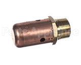113075 Xylem-Bell & Gossett B/G # 26 Vacuum Breaker