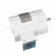 113587 Leeson Motor