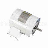 113649 Leeson Motor