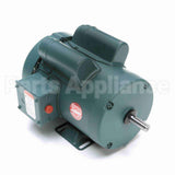 113768 Leeson Motor