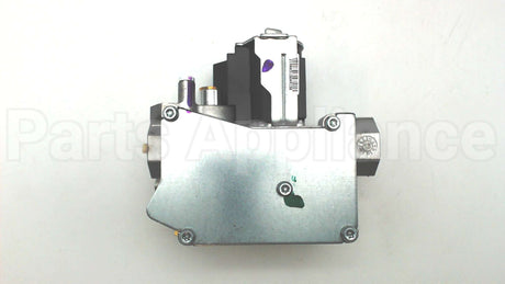 60-103901-01 Rheem-Ruud Natural Gas Valve