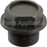 113943 Compatible Champion Plug, Plastic 3/4"Npt