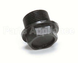 113943 Champion - Moyer Diebel Plug 3/4Npt Plastic