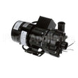 114199 Compatible Champion Pump/Motorassy, 1/5Hp, 115V