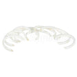 114824 Compatible Groen Packing Rings (Pk 10), 1-5/8 Od