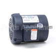 114891 Leeson Motor