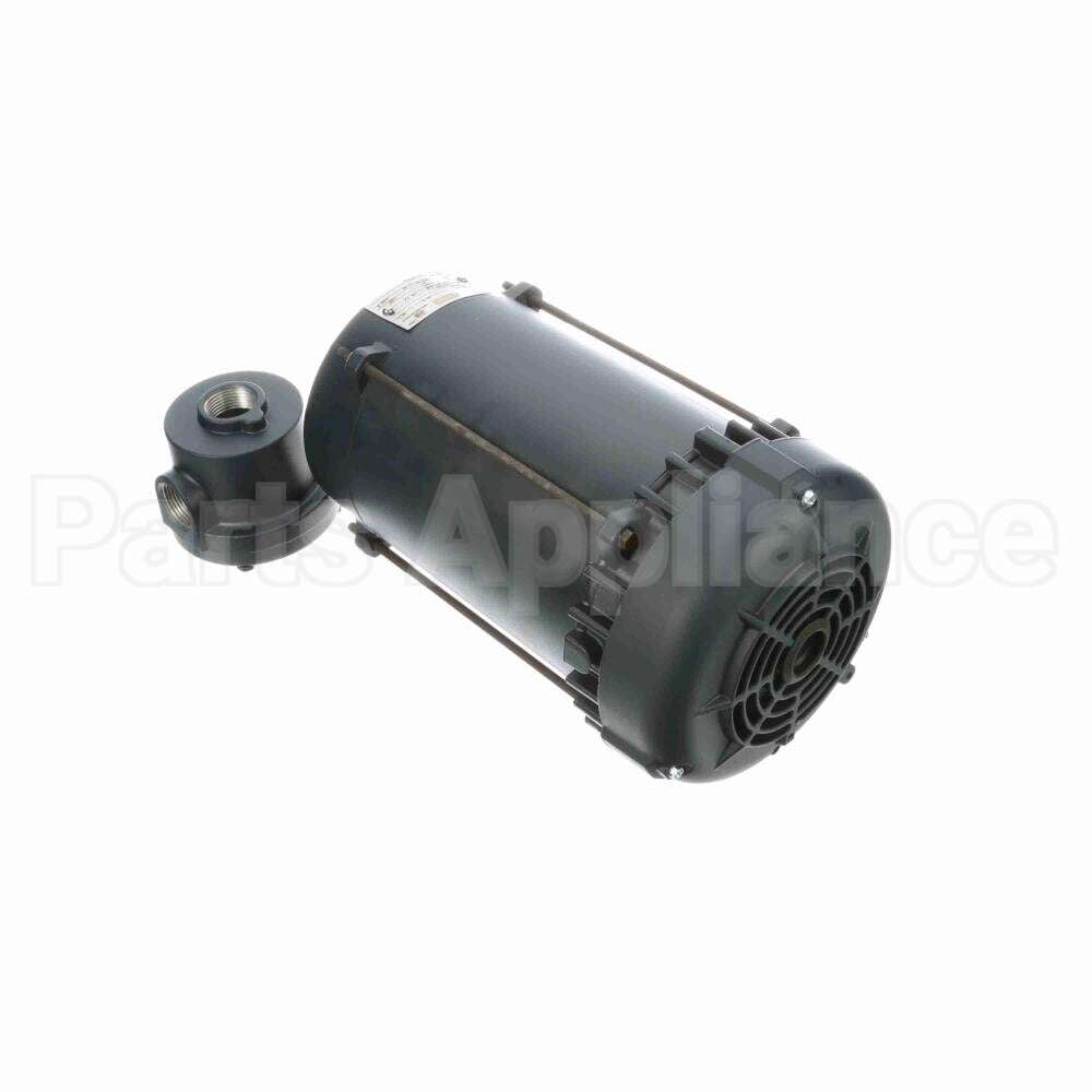 116185 Leeson Motor