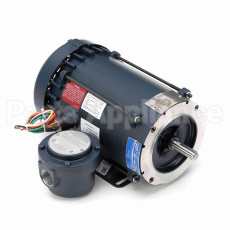 116607 Leeson Motor