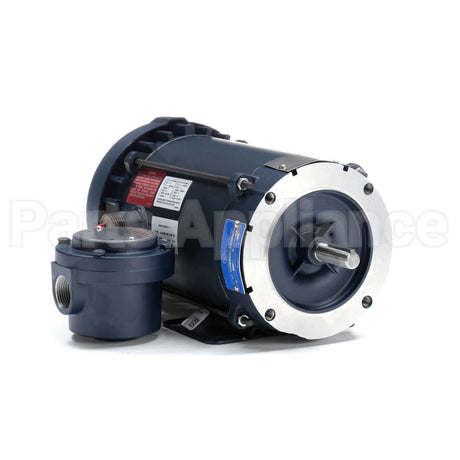 116615 Leeson Motor