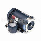 116616 Leeson Motor